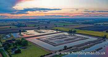Bird flu spreads to swans at popular East Yorkshire nature reserve