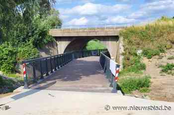 Bus vervangt begin maart trein Puurs-Antwerpen voor werken aan brug Bovenvliet
