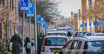 42 invalidenparkeerplaatsen in een straat: ‘Dit is niet normaal’