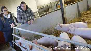 Angst um die Existenz-Grundlage: Junger Landwirt verzweifelt an der Bürokratie