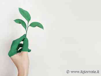 BF e Eni rafforzano l'alleanza strategica con l'ingresso di Eni Natural Energies nel capitale di BF International