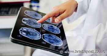 Common food ingredient could boost memory and decrease stress