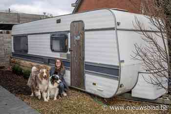 Kirby opent hondentrimsalon in caravan: “Knus en ruim genoeg”