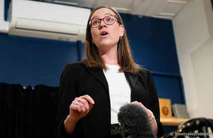 Liberal leadership candidate Karina Gould says party made it ‘hard’ to run