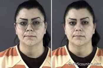 Cheyenne Traffic Stop Leads to Large Drug Bust, Felony Charges