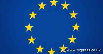 Business chiefs want government to let young EU workers move to UK