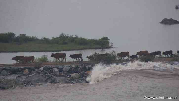 Zware Kees: boeg- en hekgolven