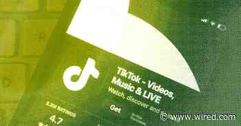 TikTok Stole Our Hearts, but Can It Last?