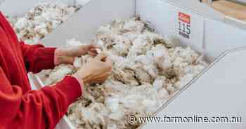 'Gamechanger': eBales the next frontier in wool handling automation