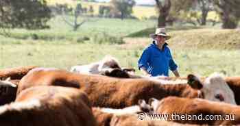 Carbon farming services merge to the benefit of this grass-fed beef producer