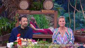 Nach Dschungelcamp-Dreh: Das passiert mit Sonja Zietlows ausgefallener IBES-Garderobe