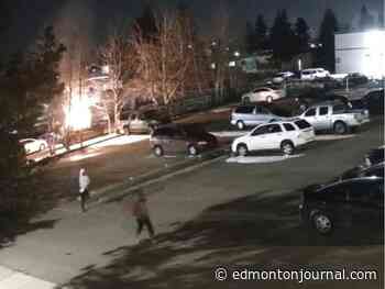 Edmonton police ask for help identifying suspects in 2024 shooting and arson