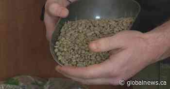 With U.S. tariff decision on hold, Sask. businesses use ‘breathing time’ to prep