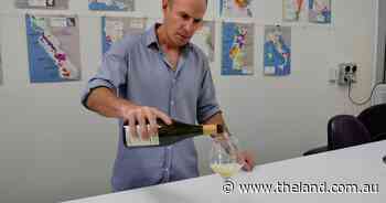 Wine grape harvest beats frost, storms and sun as glut continues