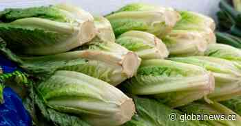 B.C. farmer says it’s easier to get product onto U.S. shelves than B.C. shelves