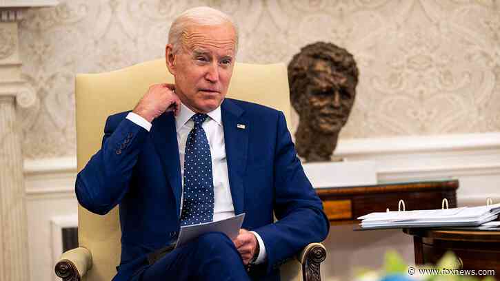 US ally accuses Biden admin of using USAID as a 'tool to interfere with domestic issues'