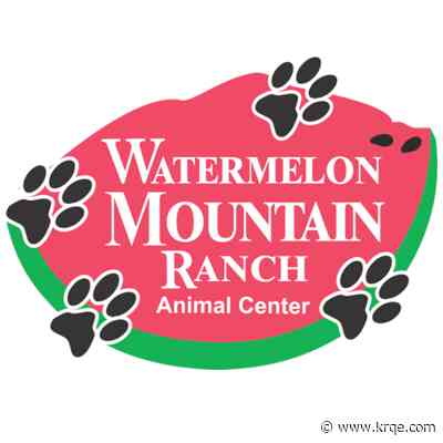 New Mexico dog to be featured in Puppy Bowl segment