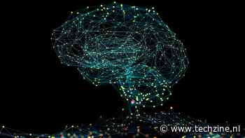 Brein haalt tweede Nederlands AI-model offline
