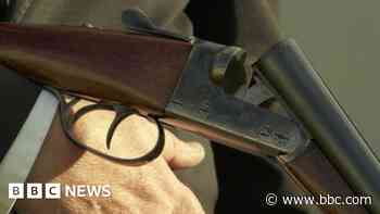 Will new gun licence fees make Britain safer?