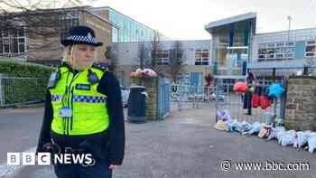 School closed after fatal stabbing reopens