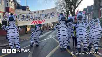 Parents dress as zebras for safe crossing campaign