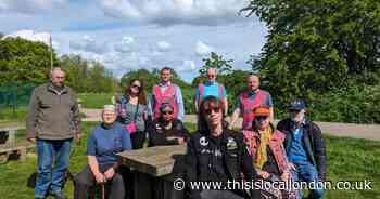 South Norwood County Park volunteer requests for more support 'ignored'