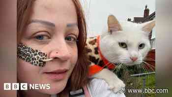 'Walking my cat 100 miles proves doubters wrong'