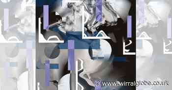 PREVIEW: Lady Lever gallery exhibit celebrates Wirral's 'emerging talent'