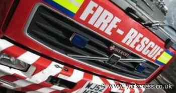 Tree on fire in East Yorkshire town