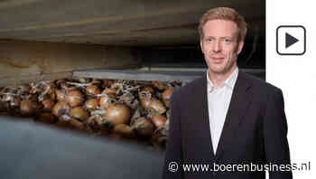 Onder deze uienprijs willen de telers niet zakken