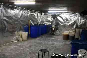 Politie vindt drugs, cash en zelfs wandelstok omgebouwd tot vuurwapen: grote drugsbende opgerold in Limburg