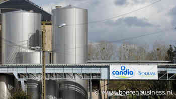 Sodiaal wil sterker staan in strijd om Emmentaler