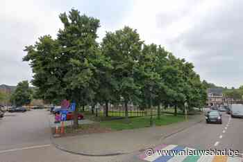 Markt gaat deels dicht voor snoeiwerken