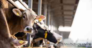 JBS to pay $83.5m price-fixing settlement