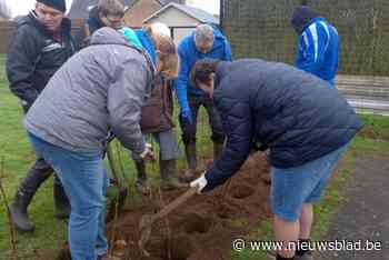 Bewoners dagcentrum helpen hun eigen tuin vergroenen
