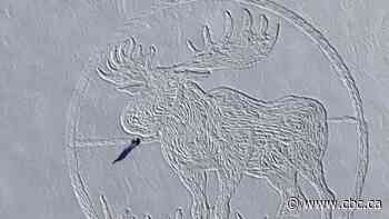 N.B. artist creates massive moose in the snow using his footprints