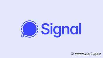What You Need to Know About the Privacy-Focused Messaging App Signal