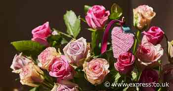 Waitrose Valentine’s Day bouquets: how they are doing a bunch of good