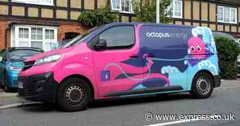 Octopus Energy scraps energy bills for homes in one part of the UK