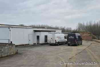 Nieuw microslachthuis mikt in de eerste plaats op korte keten: “Lokale boeren kunnen bijna nergens terecht met hun dieren”