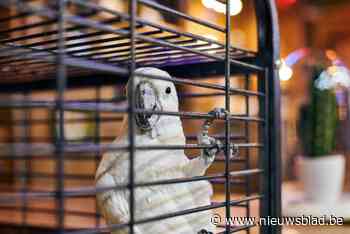 Vogelverzamelaar mag levenslang geen dieren meer houden… behalve twee honden