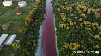 Umweltverschmutzung vermutet: Fluss in Argentinien färbt sich blutrot