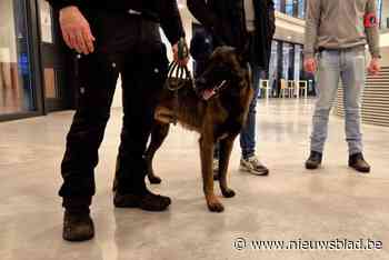 Vijf gedetineerden betrapt op drugs na grootschalige controle