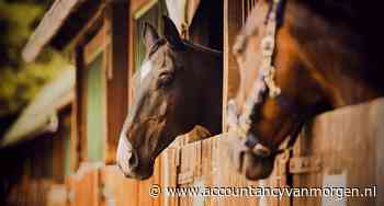 Terwijl de koper van een paard 3 ton zag verdampen, werd de stal ‘leeggeplukt’
