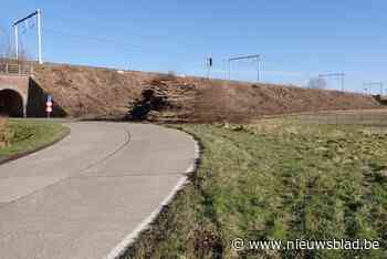 Infrabel vernietigt per ongeluk nestkasten van eikelmuizen bij bermbeheer