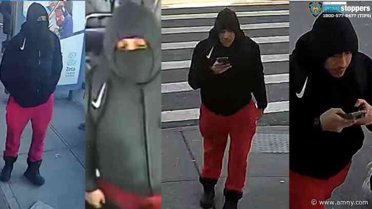 NYPD seeks suspect who pushed elderly man off Bronx bus after dispute over seat
