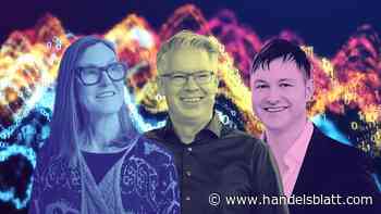 Geldanlage: Wood, Thelen, Beckers: Wie risikoaffine Tech-Investoren mindestens 30 Prozent Rendite in sechs Monaten machen