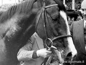 Le vittorie, il rapimento e l'IRA: la storia di Shergar, lo stallone dell'Aga Khan