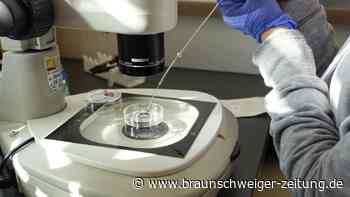 Horror auf „Menschenfarm“ – Frauen in Georgien ausgebeutet