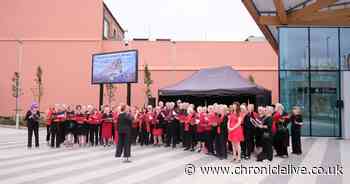 Calls to turn North Shields town square into NUFC fan zone for Carabao Cup Final